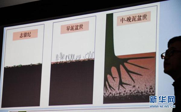 10月23日，牵头本次研究的中科院南京地质古生物研究所研究员徐洪河介绍相关研究成果。