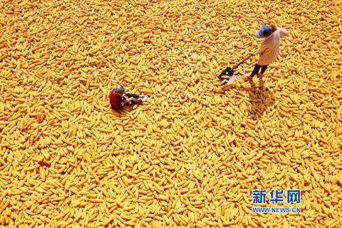 u=93059057,2357399862&fm=27&gp=0 u=93059057,2357399862&fm=27&gp=0