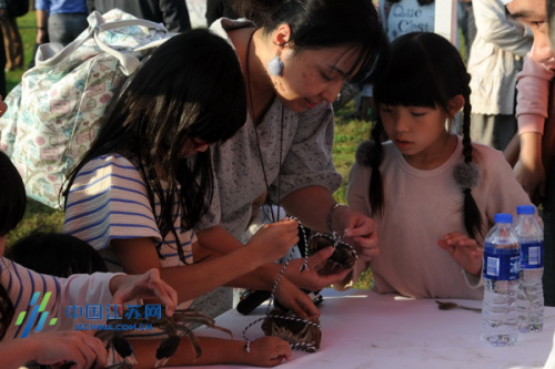 日本游客体验扎螃蟹 日本游客体验扎螃蟹