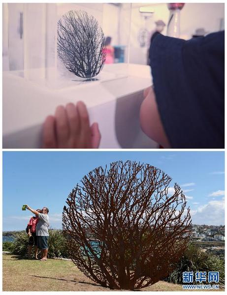 10月22日，澳大利亚悉尼邦迪海滩。上图为一位小游客在看室内展出的雕塑模型；下图为游客在雕塑旁拍照（拼版照片）。