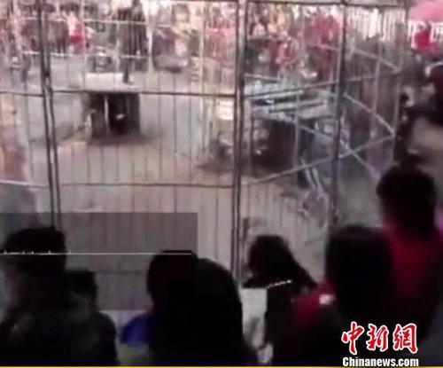 视频画面显示，现场人员密集，老虎冲出笼子后，人群四散，现场一度陷入混乱，幸亏饲养员及时将老虎捉回。　事发现场视频截图 摄