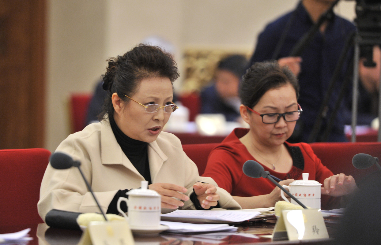 李羚委员在会上发言