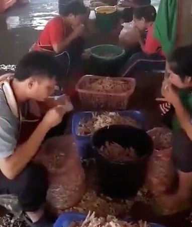 工人嘴啃无骨鸡爪 即便是配备刀具也不用因为没有用嘴快