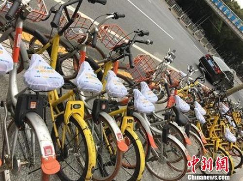 资料图：作为一种出行方式，自行车给人们的生活带来了很大的便利。　钟欣 摄