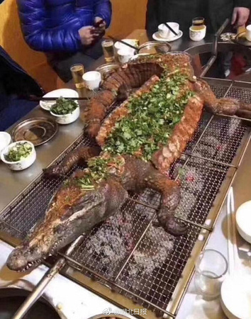 武汉一烧烤店推出烤鳄鱼