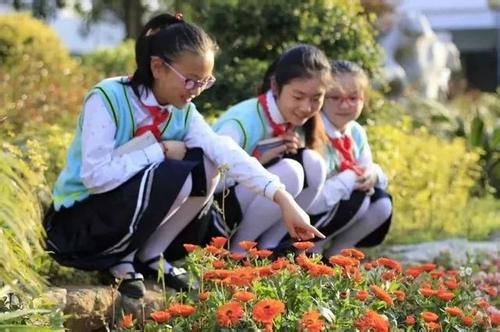 u=1054267565,1377398568&fm=11&gp=0 u=1054267565,1377398568&fm=11&gp=0