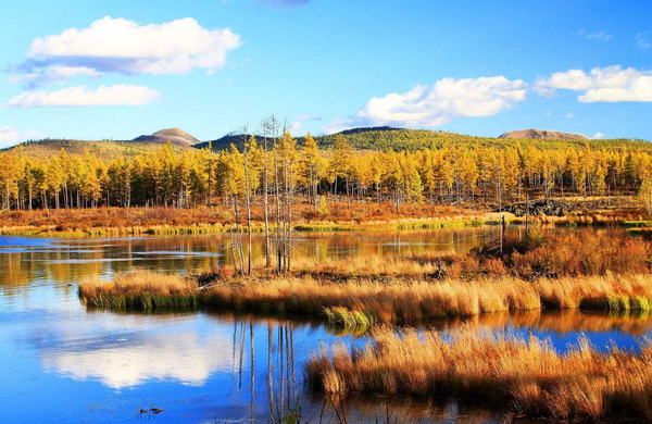 QQ截图20180123142305 QQ截图20180123142305