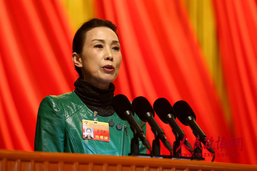 张凤敏委员发言