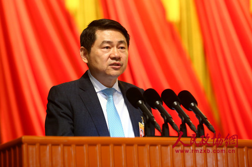 王辉耀委员发言