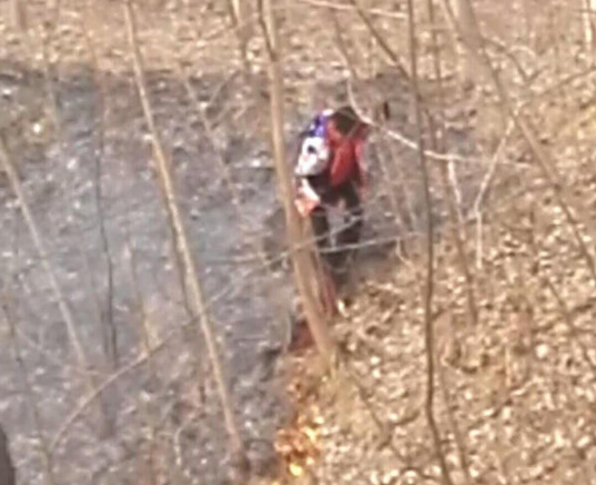 11岁男孩只身扑灭山火