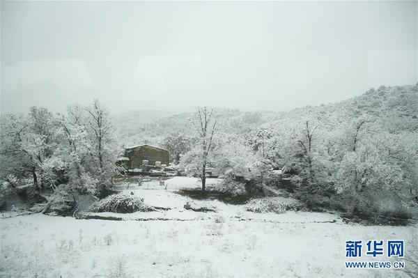 这是2月26日在法国东南部滨海阿尔卑斯省公路上拍摄的雪景。当日，受冷空气影响，法国南部包括尼斯、戛纳等城市在内的地中海沿岸地区降下大雪，导致尼斯机场临时关闭，空中交通受到严重影响。