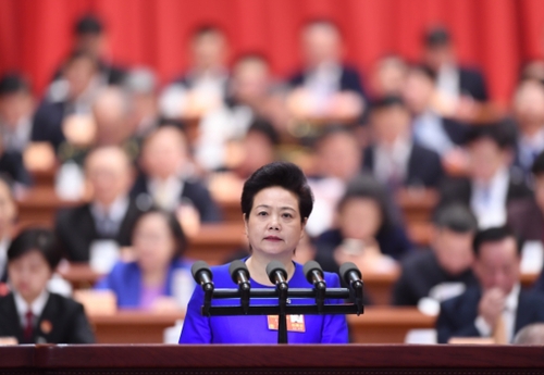 （9）全国政协十三届一次会议第三次全体会议大会发言
