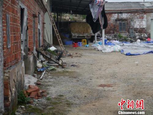 生产麒麟菜的茂名电白区小作坊