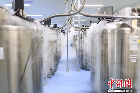 储存免疫细胞的平台“细胞云”在深圳发布