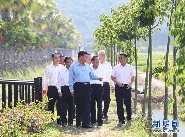 4月12日下午，中共中央总书记、国家主席、中央军委主席习近平在海南省三亚市考察。这是习近平在国家南繁科研育种基地（海南）同袁隆平等农业技术专家一道，沿着田埂走进“超优千号”超级杂交水稻展示田，察看水稻长势，了解超级杂交稻的产量、口感和推广情况。
