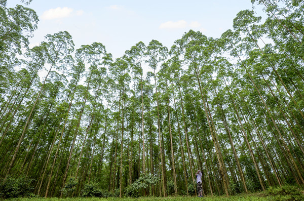 20170614082002_9199 20170614082002_9199