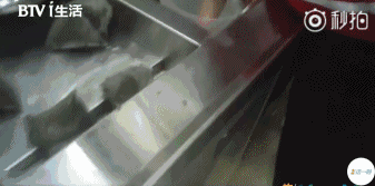 触目惊心!记者爆料网红饮品店:饮料比刷锅水还脏