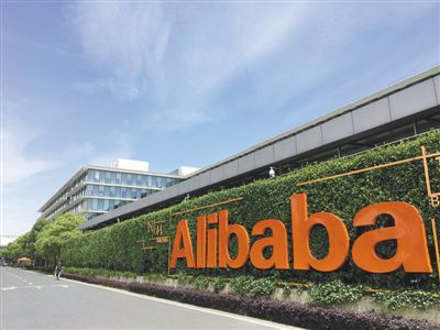 10251723438935049149 10251723438935049149