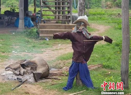 图为事发村庄。当地《柬中时报》提供
