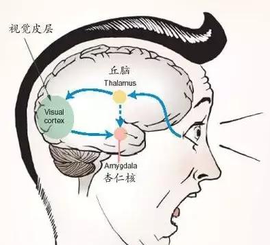 为何有人听到指甲划黑板的声音就狂躁？