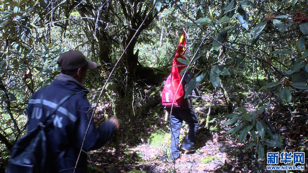 /website-webapp/ewebeditor/uploadfile/20180514092223397001