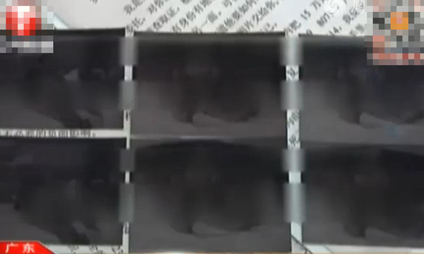 跟拍政府官员被逮捕2
