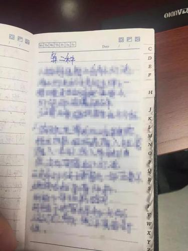 女子自制炸弹想抢银行100万 详细步骤写了32页纸