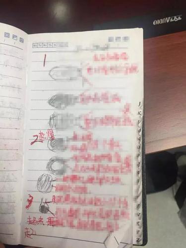 女子自制炸弹想抢银行100万 详细步骤写了32页纸