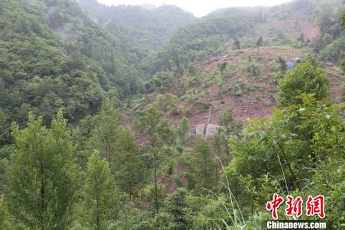 桃树坪滑坡现场。　钟欣　摄