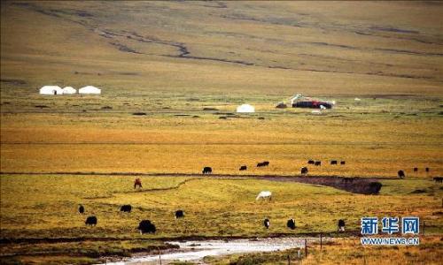 u=3299806850,2803733029&fm=27&gp=0 u=3299806850,2803733029&fm=27&gp=0