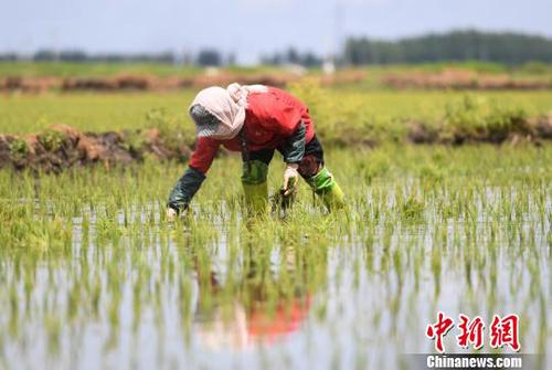 吉林松原震后见闻：度过漫长一夜生活仍要继续
