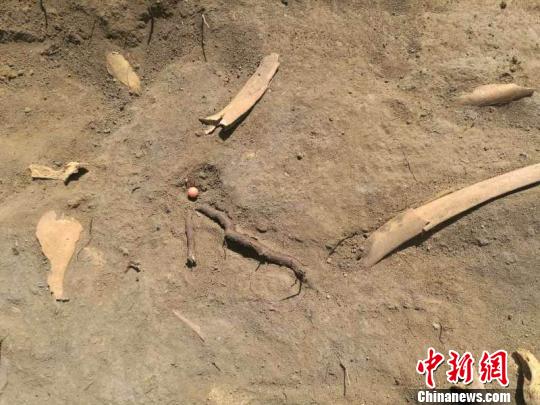 新疆吉木萨尔县北庭故城遗址考古发掘发现唐代文物