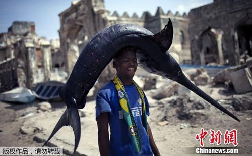 872斤剑鱼上钩了！钓鱼者花2小时钓到全球第二大剑鱼