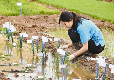 QQ截图20180601100034 QQ截图20180601100034