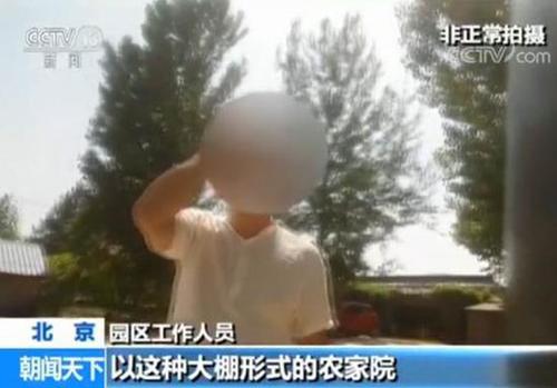 农业大棚变身私家庄园:开发商既收租金又拿补贴