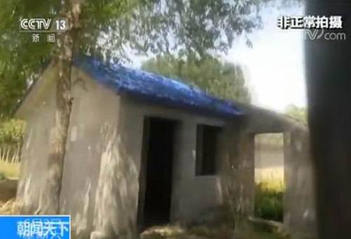 农业大棚变身私家庄园:开发商既收租金又拿补贴