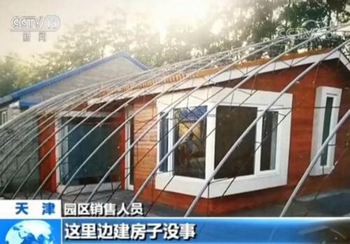 农业大棚变身私家庄园:开发商既收租金又拿补贴