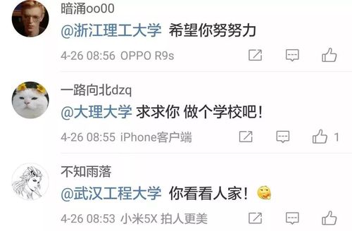 你是怎么考上一本的?网友:多亏了学校自己的努力