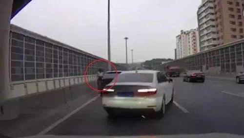 高速路遇猫怎么办?上海交警:高速路违停记6分罚200