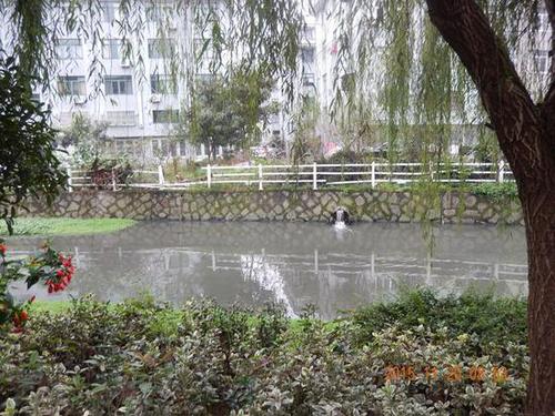 台州小学生写信反映水污染 市委书记批示:立即核实