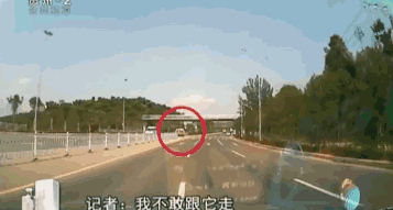 贵阳黑加油车路边肆意卖油 每月交6000保护费