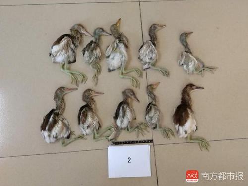 imagefile 863572831752812018.jpg