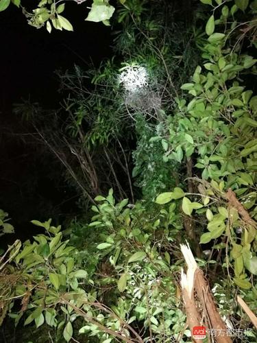 imagefile 617162790533420108.jpg