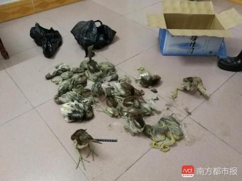 imagefile 142785153503046566.jpg