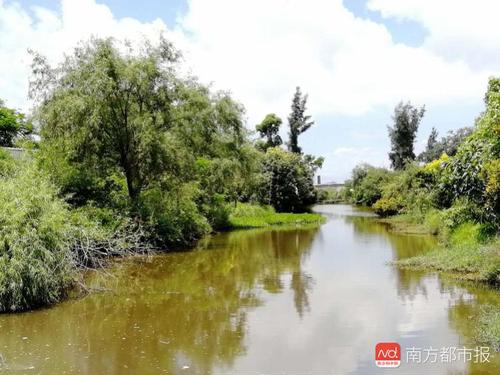 imagefile 14669791497990229.jpg