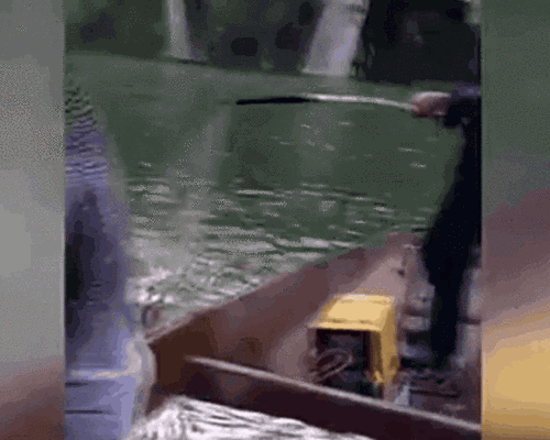 触目惊心!捕鱼者把这它放到水里 上百条鱼瞬间毙命