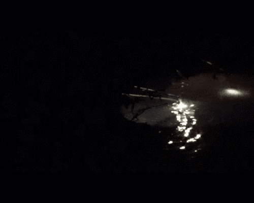 触目惊心!捕鱼者把这它放到水里 上百条鱼瞬间毙命