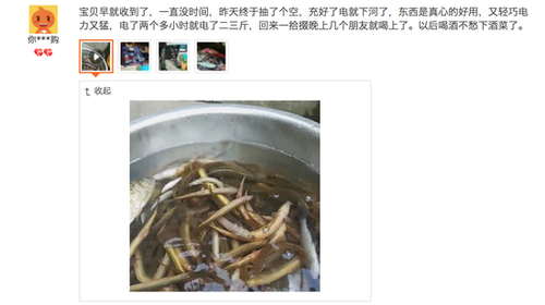 触目惊心!捕鱼者把这它放到水里 上百条鱼瞬间毙命