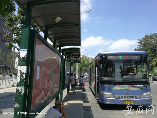 合肥查出45座假公交候车亭 相关部门:不知道谁建的