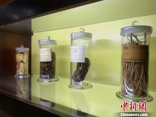 宁夏完成中药资源普查发现药用植物达610种